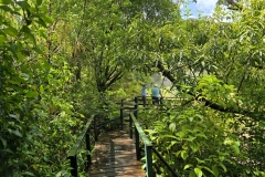 IMG-20250203-WA0016