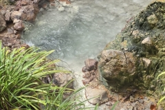 IMG-20250203-WA0017