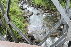 IMG-20250203-WA0021