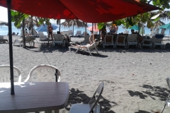 IMG-20250203-WA0037