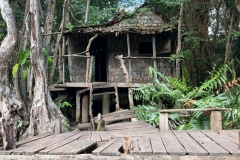 IMG-20250302-WA0015