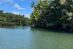 IMG-20250302-WA0016