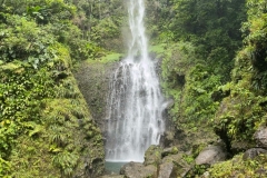 IMG-20250311-WA0001