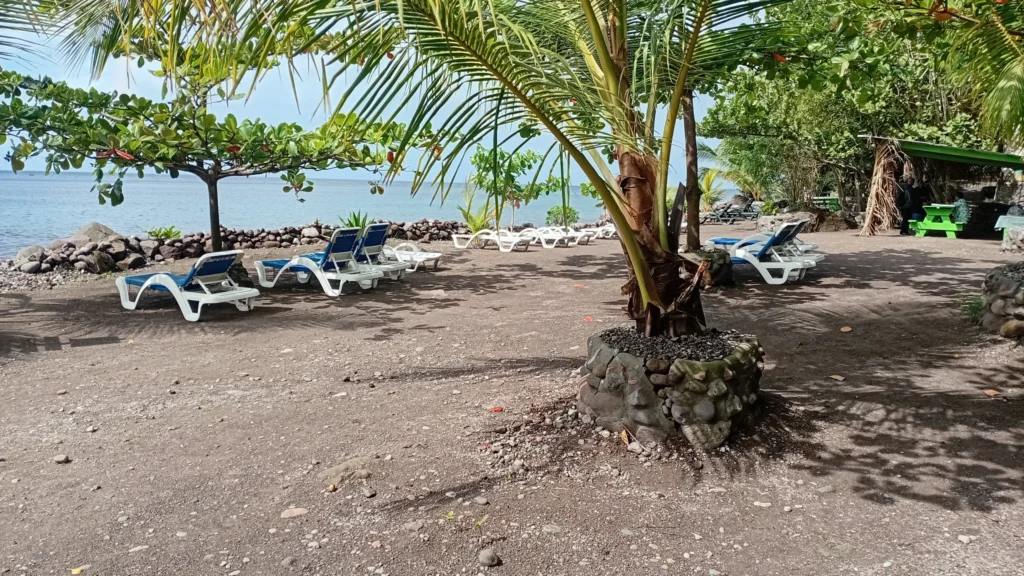 private tours in Dominica