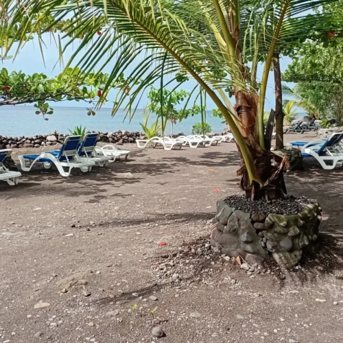 private tours in Dominica