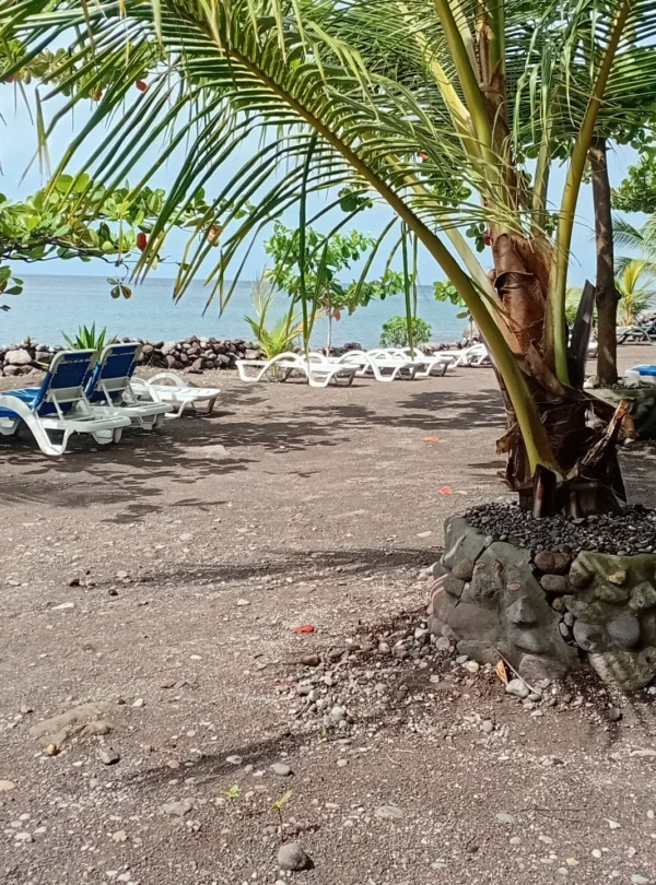 private tours in Dominica